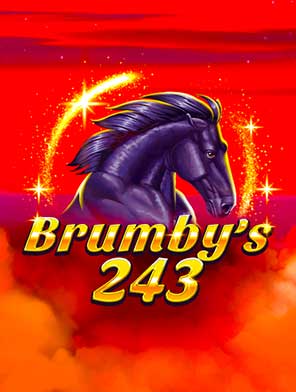Brumby's 243