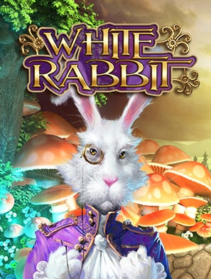 White Rabbit